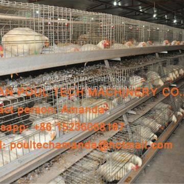 Thailand Poultry Chicken Farm A Type Battery Broiler Cage System & Hot Galvanized Cage for Farmer