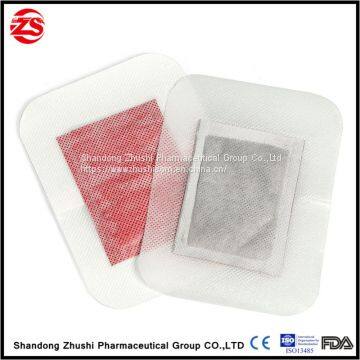 detox foot patch