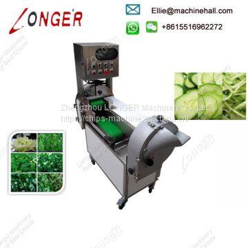 Hot Sale Large Type Vegetable Cutting Machine