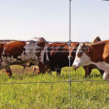 High Tensile Fixed Knot Cattle Fence