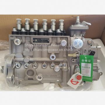 Machinery engine fuel injection pump 3973900 for cummins 6CT8.3 engine parts