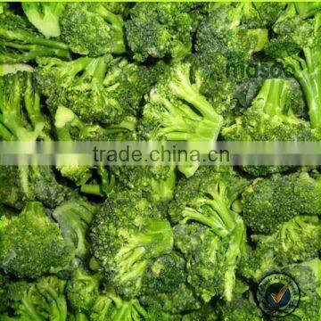 Top quality best selling China origin frozen green broccoli