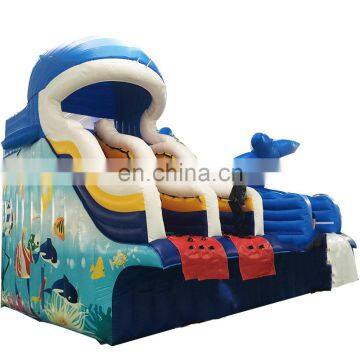 Cheap Commercial Grade Backyard Double Slide Pool Inflatable Water Slide Slides for Adults