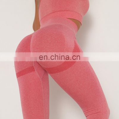 High Quality Shapewear Knit, Sports Wear Plus Size Leggings For Women/