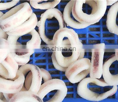 Frozen Todarodes Squid Ring Japan Squid Ring Wholesale photo-2