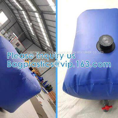 Liquid Pac Palm Oil Storage Fibc Jumbo Bags Flexibag Container 20ft 24000L Bulk Vinger Bladder Bag Fuel Oil Transport photo-2