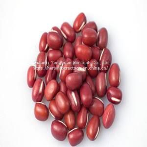 Red adzuki bean extract 5:1, Red Bean Extract, Adzuki bean Extract, Semen Phaseoli Extract, Vigna angularis Extract