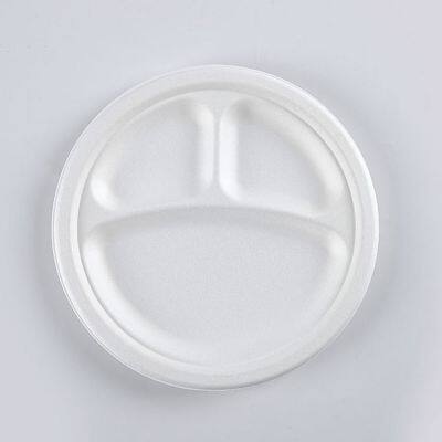 Disposable Biodegradable 9INCH 3C PLATE Take Away Sugarcane photo-5