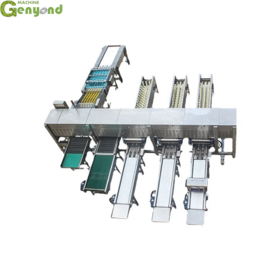 Egg Washing Grading Packing Machinery Vision Selecting Machine Small Egg Grading Machine