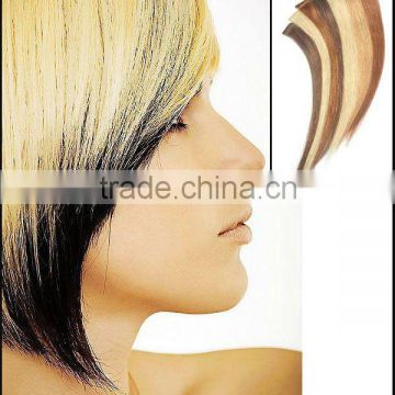 Top Quality Straight Human Hair Clip Hair Extension