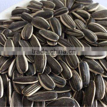 Raw sunflower seed,black sunflower seed ,sunflower seed 5009