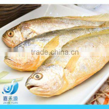 FROZEN SMALL YELLOW CROAKER FISH(SEAFOOD)