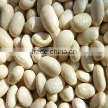 Japanese type white kidney beans