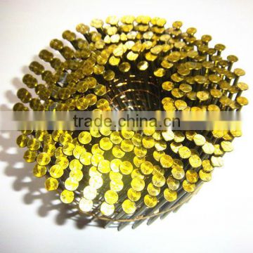 High Quality Coil Nails--Many Shank Type