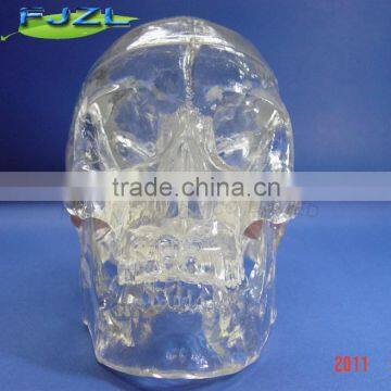 Transparent crystal 3parts dental Neurology Super Model