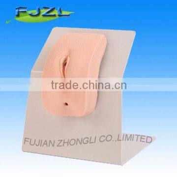 Wearable Female Urethral Catheterization Simulator, urethral catheterization model