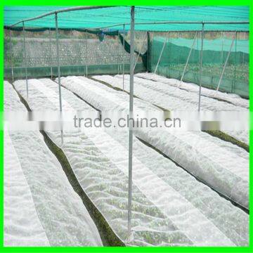100% New HDPE Insect Mesh / Anti Bird Net for Apple Trees/vineyard photo-4