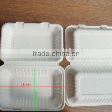 sugarcane hinged-lid container