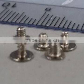 Micro Screw, Fastener, Metal Rivet Pin & cold forging part