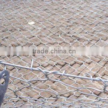 China Hot Sale Electro Galvanized Wire Mesh