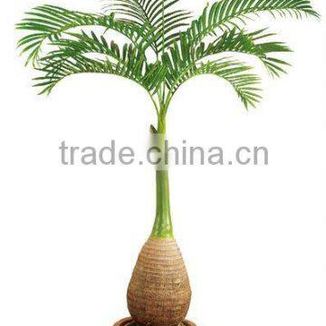 big bottle Artificial palm tree