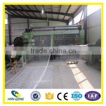 Chicken Wire Mesh photo-4