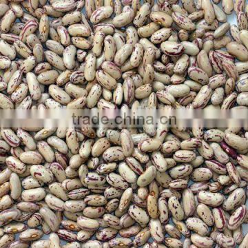 light speckled kidney beans