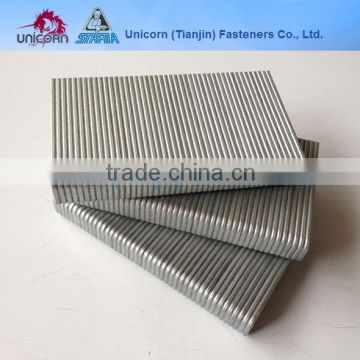 15GA BCS15(SB) galvanized flooring staples,wooden staples