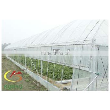 Single span vegetable greenhouse with two side ventilation