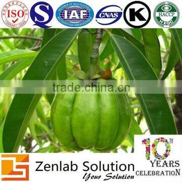 GMP Manufactor Organic Garcinia Cambogia Extract Hca 50% photo-5