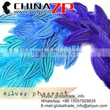 CHINAZP Wholesale Size 30cm-35cm Beautiful Design Mix Blue Dyed Silver Pheasant Feathers