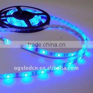 DC12V Blue 30LEDs/m 5050 Smd LED Strip Light With Non-waterproof White FPC