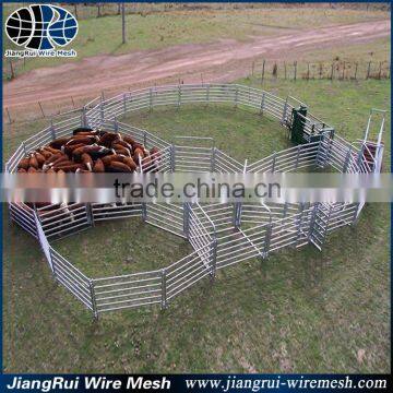 CATTLE YARD SET UP FOR 25 HEAD photo-4