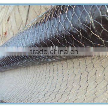 poultry hexagonal wire mesh factory 3/4"