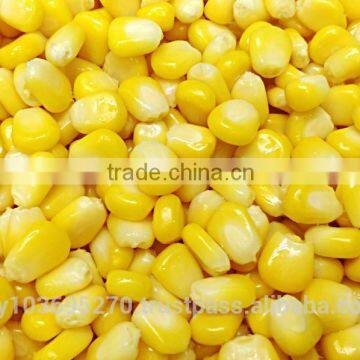 Frozen Corn Kernel