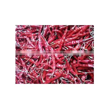 Raw Processing Type and Piece Shape Indian dry red chilli