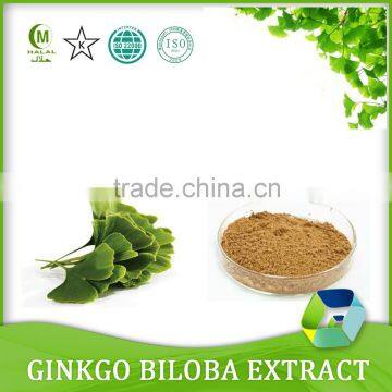 Ginkgo Biloba Extract/Ginkgo Biloba Seed/Ginkgo Biloba leaves