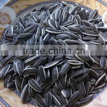 china high quality sunflower seed