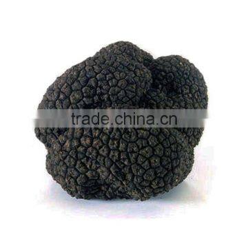 New products fresh frozen tuber indicum truffle