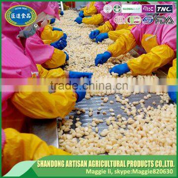 IQF Mashed Garlic Puree With Good Quality & Cheapest Price photo-5