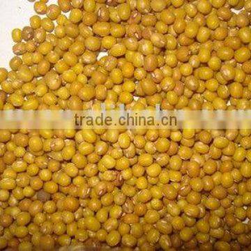 Jsx excellent high quality cheap price yellow mung bean