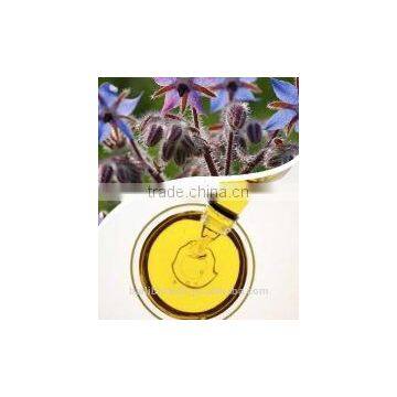 NSF High Quality Essential Borage Seed Oil photo-2