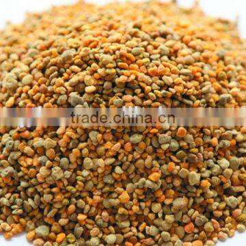 china low price sweet camellia bee pollen grain