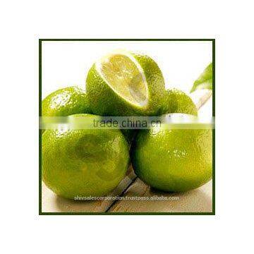 Lime Oil