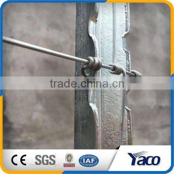 Factory Price Steel T Post for Cattle Fence