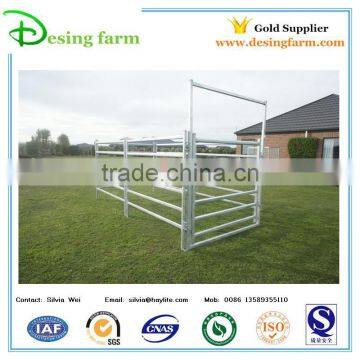 Cheap Cattle Panels for Sale photo-5