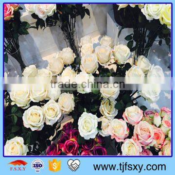 Simulation Art Rose photo-4