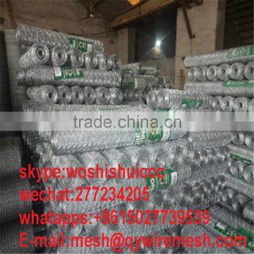 Cheap Window Screen One Way Fiberglass Window Screen Fiberglass Mosquito Netting in Roll photo-2