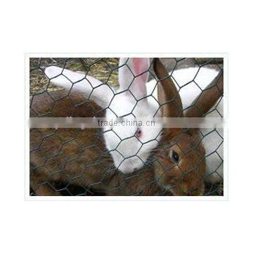 Cheap Commercial Rabbit Cages For 12 Rabbits, 24 Rabbits