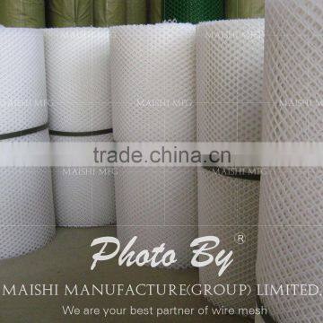 Extruded Plastic Mesh Plastic Flat Nets photo-4